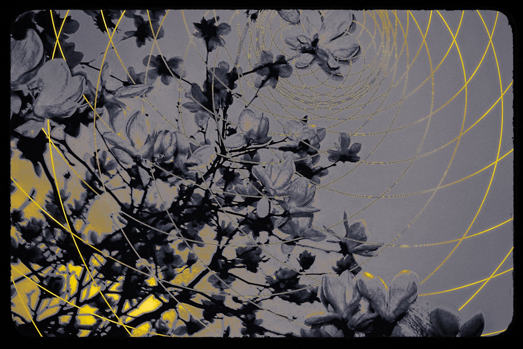 The Fullest Bloom, Beyond the Matrix