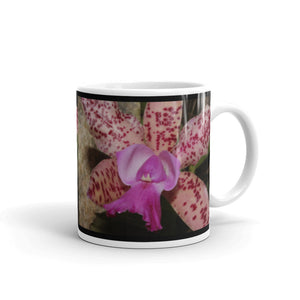 Kauai Series - Coffee Mug 2