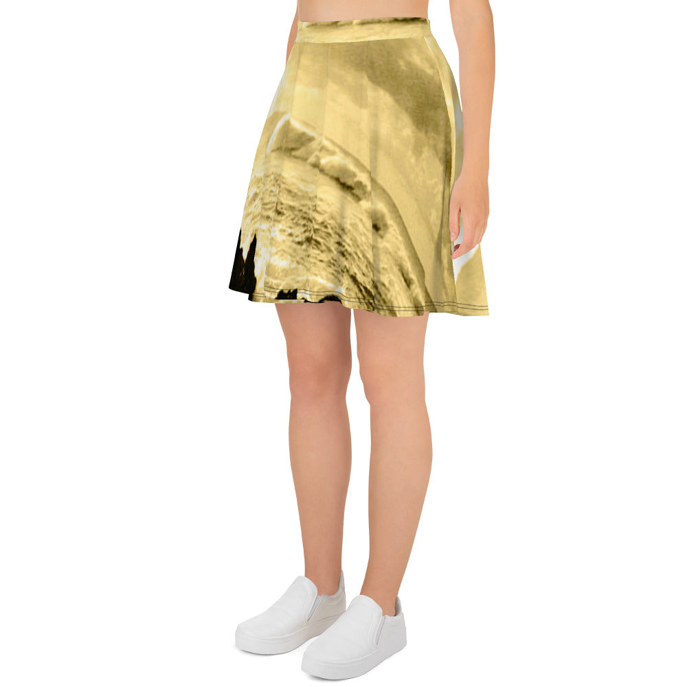 Skater Skirt
